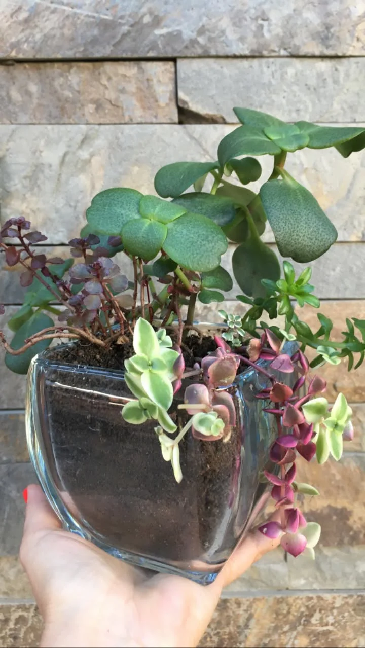 Composición de flores de temporada y verdes nobles