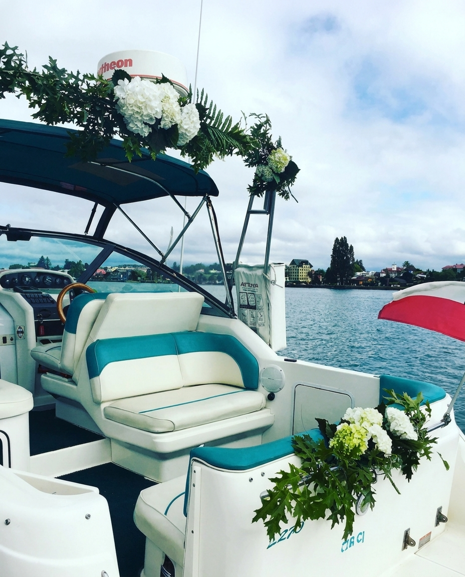 Novias MaGu